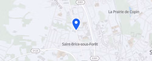 La saint briceenne - Saint-Brice-sous-Forêt