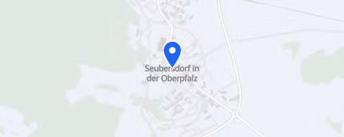 44. Seubersdorfer Silvesterlauf