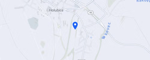 Běh s holubicí