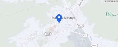 La Course pour la Planète de Marange-Silvange