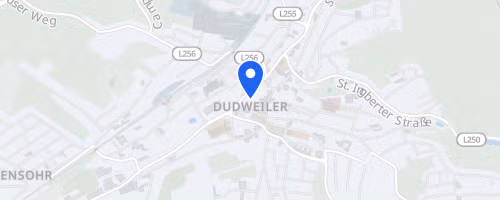 12. Freundschaftslauf LT Rennschnecke Dudweiler