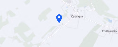 Semi-marathon des 4 communes - Cauvigny