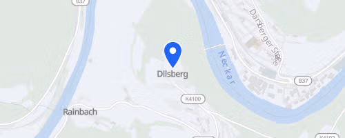 3. Neckarlauf 7. Etappe Neckargemünd-Dilsberg - Mannheim-Sandhofen