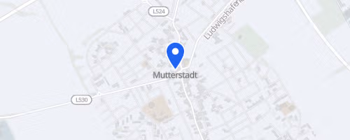 engelhorn Brooks Laufcup Mutterstadter Volkslauf