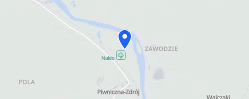 Festiwal Biegowy Bieg Nocny