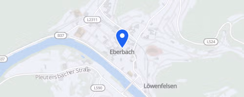 31. Eberbacher Sprint- und Jedermanntriathlon