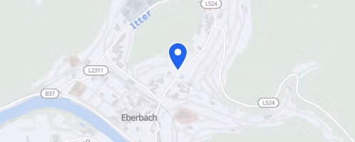 Erbacher Triathlon