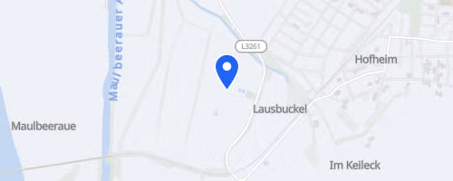 39. Hofheimer Volkslauf