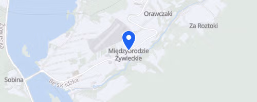 Międzynarodowy Bieg Górski ŻAR