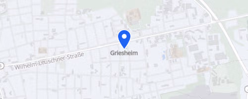31. Griesheimer REWE/Michael Weisbrod-Silvesterlauf