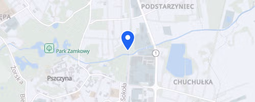 Carbo Asecura Bieg Pszczyński