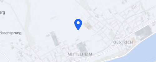42. Rieslinglauf und 17. Rheingauer Halbmarathon
