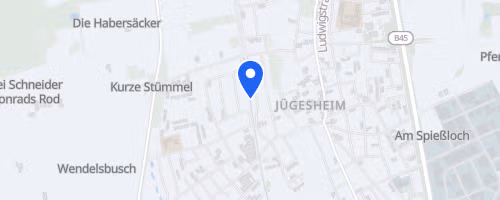 46. Winterlaufserie Rodgau Jügesheim (2)