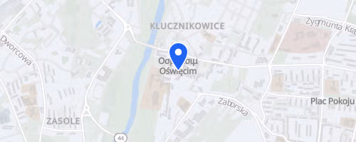 Bieg Pamieci i Pojednania Oswiecim