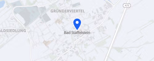 16. THERAmed-Adam-Riese-Silvesterlauf