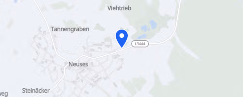 19. Freigerichter Benzinglauf