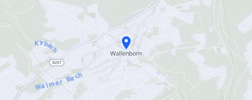 20.Int. Brubbellauf