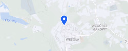 Truchtacz Mysłowice