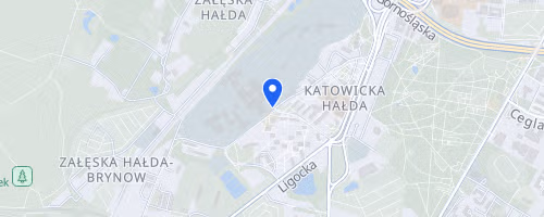 Bieg Niepodleglosci im Dziewieciu z Wujka