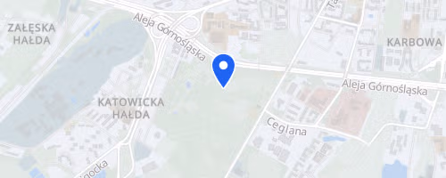 Bieg dla Aniolow VI Charytatywny Bieg z Okazji Dnia Dziecka