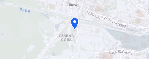 Olkuski Bieg Uliczny VIII Srebrna Dziesiatka