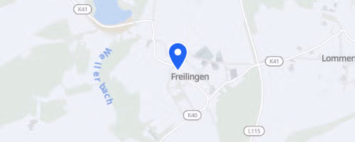 Löwentriathlon