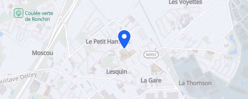 Foulées lesquinoises