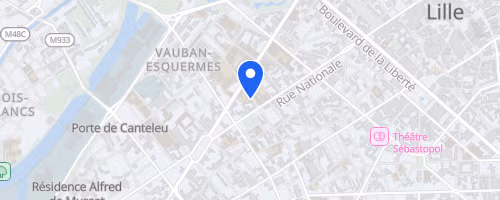 Les foulées lilloises - Lille