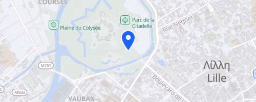 Foulées des Fiertés - Lille