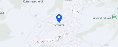 Lauf mal wieder mit in Schmidt