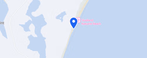 Studland Stampede