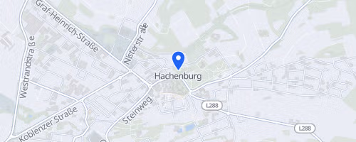 40. Hachenburger Löwenlauf