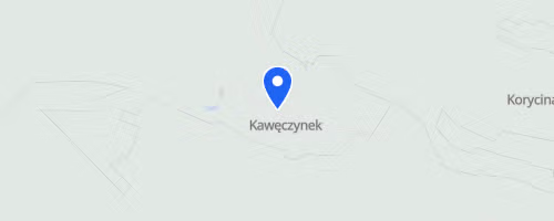 VII Bieg Chrzaszcza