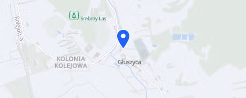Sfbg Sudecki Festiwal Biegow Gorskich