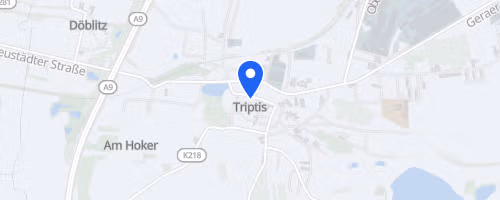 Triptiser Stadtwaldlauf