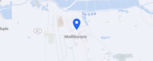 IX Charytatywny Bieg Mikolajkowy