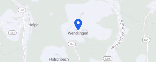 21. Wendlinger Zeitungslauf