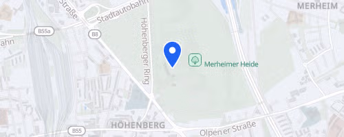 50. Kölner Silvesterlauf