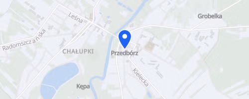 Bieg Przedborska 10