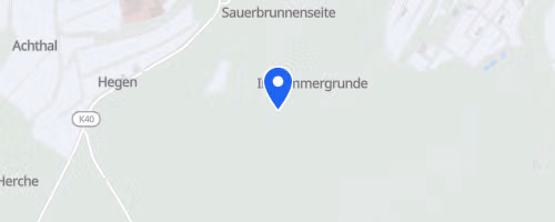 Schlossberglauf Altwildungen