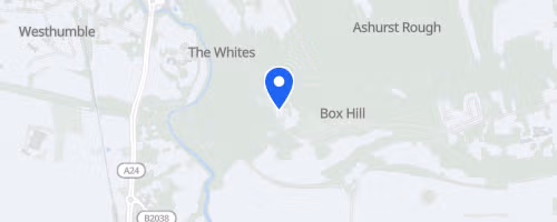 RunThrough Trails Beat Box Hill October