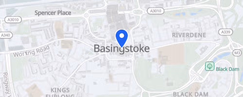 Basingstoke Summer Running Festival