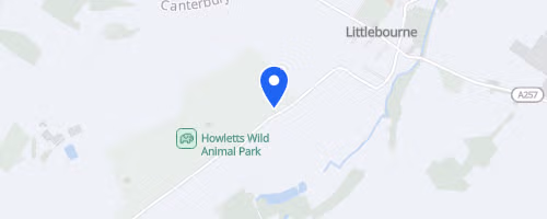 Howletts Cheetah 5k