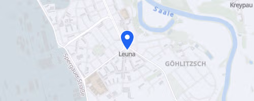 Leunaer Saaleanlagenlauf