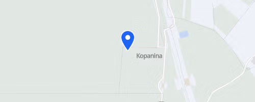 VIII Bieg Biegambolubie Lasy