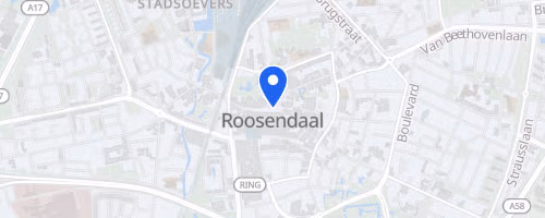 Halve Marathon van Roosendaal