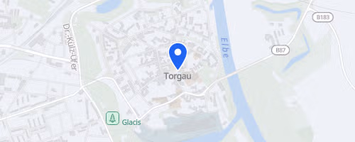 Torgauer Citynachtlauf