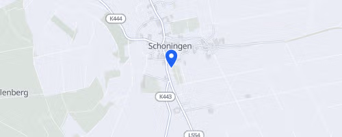 Schoninger-Volkslauf - SC Schoningen 04