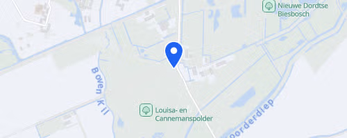Zoomer Wantijrun Dordrecht