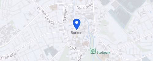 40. Borkener Citylauf